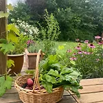Skont Sommerhus Ved Roskilde Fjord Og Nordskoven Vakantiehuis Jægerspris